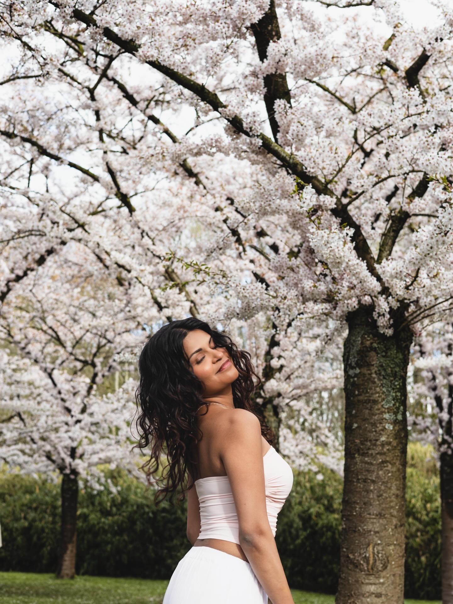 Maternity portrait beneath cherry blossom
